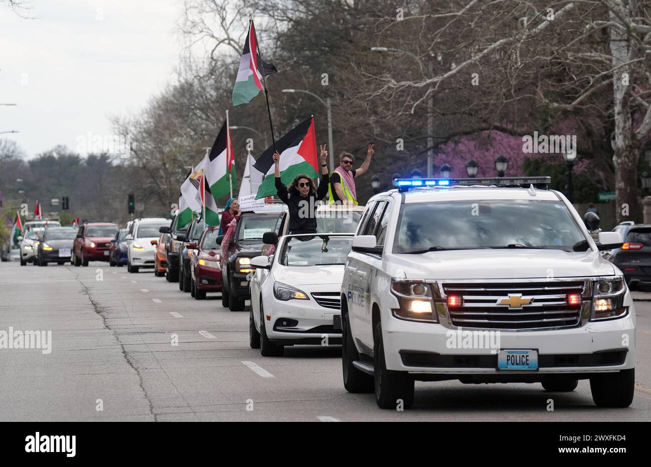 St Louis, Stati Uniti. 30 marzo 2024. St La polizia metropolitana di Louis guida una lunga fila di auto che sventolano bandiere e clacson mentre i sostenitori filo-palestinesi sfilano per le strade di St Louis il sabato 30 marzo 2024. La manifestazione ha fermato il traffico mentre i canti della "Palestina libera” sono stati urlati dalle auto. Foto di Bill Greenblatt/UPI credito: UPI/Alamy Live News Foto Stock
