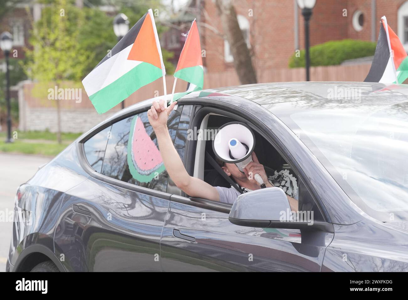 St Louis, Stati Uniti. 30 marzo 2024. Un sostenitore pro palestinese canta usando un corno, tenendo in mano una bandiera mentre partecipa a una lunga sfilata di auto per le strade di St Louis il sabato 30 marzo 2024. La manifestazione ha fermato il traffico mentre i canti della "Palestina libera” sono stati urlati dalle auto. Foto di Bill Greenblatt/UPI credito: UPI/Alamy Live News Foto Stock