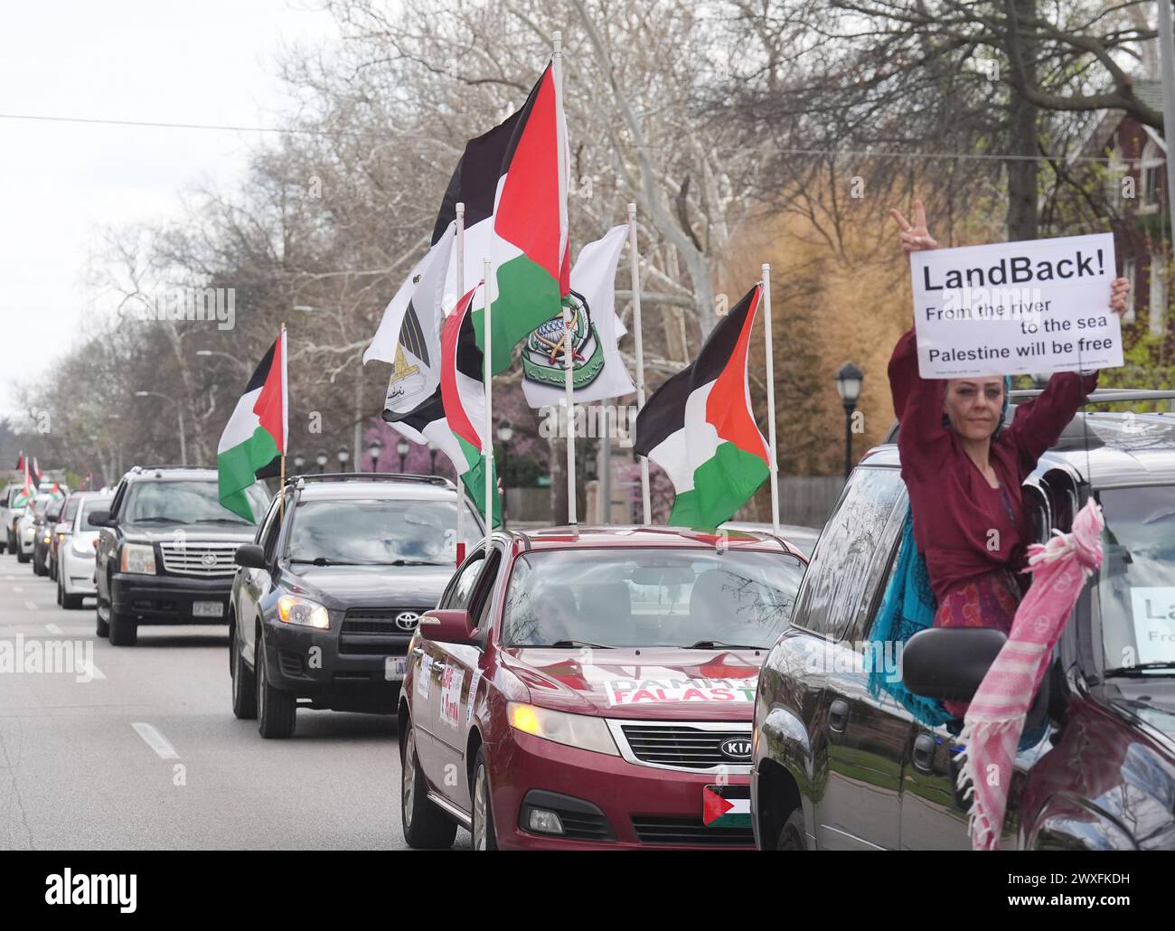 St Louis, Stati Uniti. 30 marzo 2024. Una lunga fila di auto che sventolano bandiere e corna mentre i sostenitori filo-palestinesi sfilano per le strade di St Louis il sabato 30 marzo 2024. La manifestazione ha fermato il traffico mentre i canti della "Palestina libera” sono stati urlati dalle auto. Foto di Bill Greenblatt/UPI credito: UPI/Alamy Live News Foto Stock
