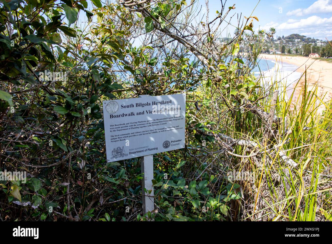 Punto di osservazione sul promontorio sud di Bilgola, Sydney, NSW, Australia Foto Stock