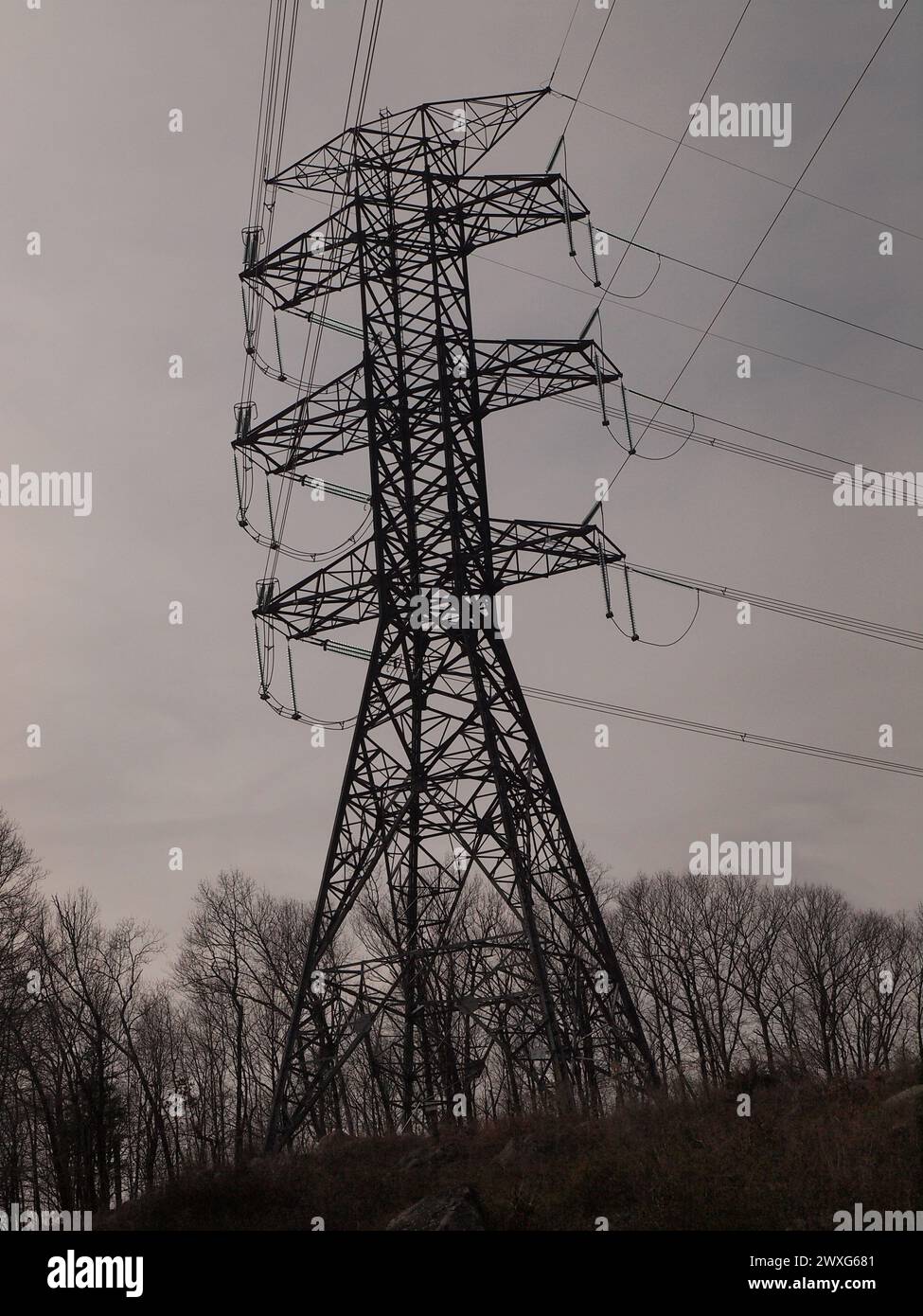 Linee di trasmissione di energia elettrica su un'alta torre di supporto nel New Jersey. Foto Stock