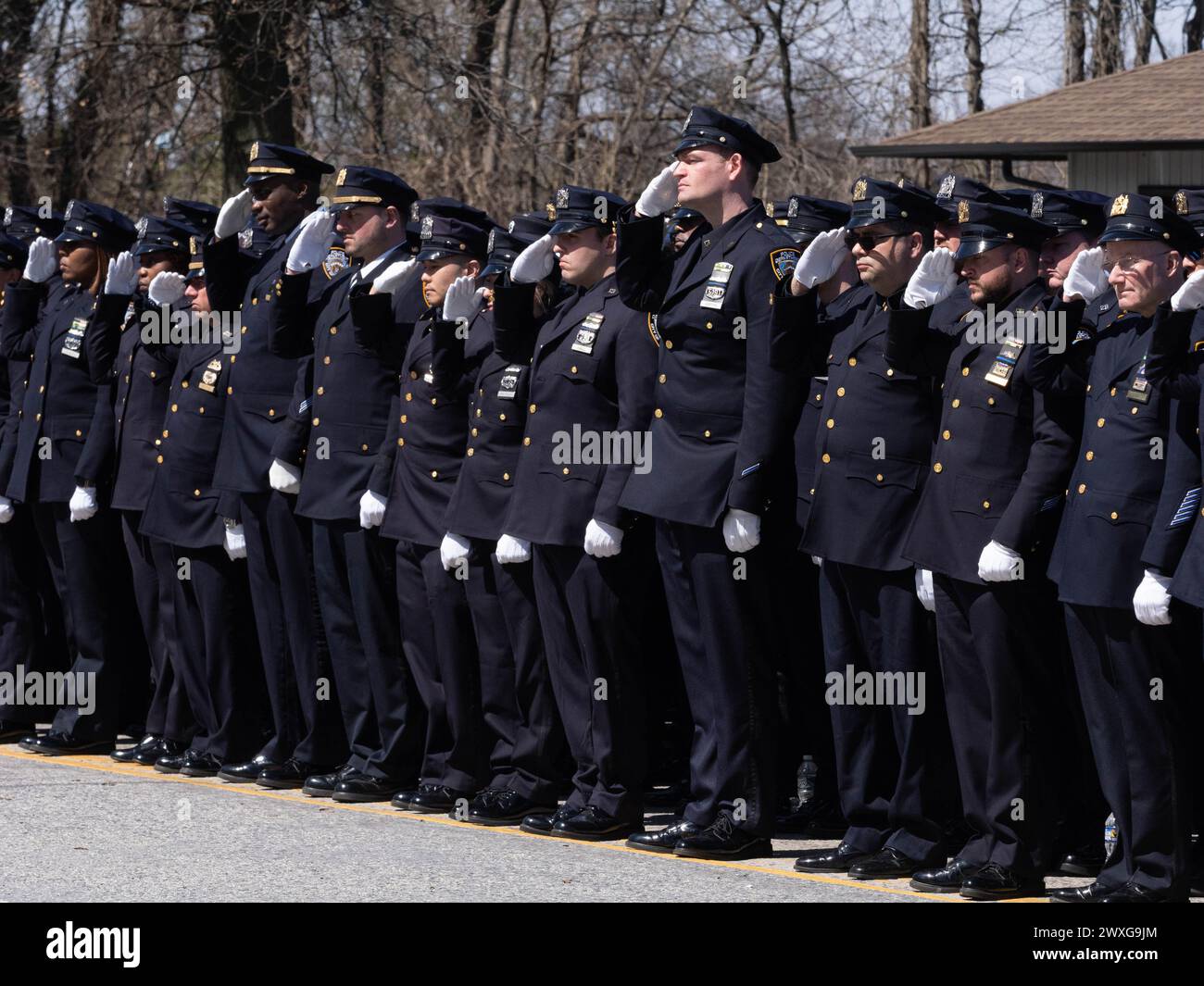 New York, Stati Uniti. 30 marzo 2024. Gli agenti della polizia di New York salutano mentre passa il focolare. Il funerale per l'agente caduto della polizia di New York Jonathan Diller si è tenuto con centinaia di agenti di polizia allineati davanti alla St Rosa di Lima Chiesa cattolica Toman. Secondo i rapporti della polizia, l'agente Diller, di 31 anni, e il suo partner stavano facendo una fermata per un'auto parcheggiata illegalmente a far Rockaway. Durante l'incontro, un individuo nel veicolo brandiva un'arma da fuoco e la puntava agli ufficiali, provocando uno scambio di colpi di arma da fuoco. Credito: SOPA Images Limited/Alamy Live News Foto Stock