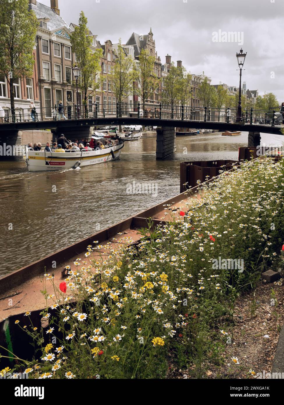 Crociera sui canali ad Amsterdam, Paesi Bassi Foto Stock