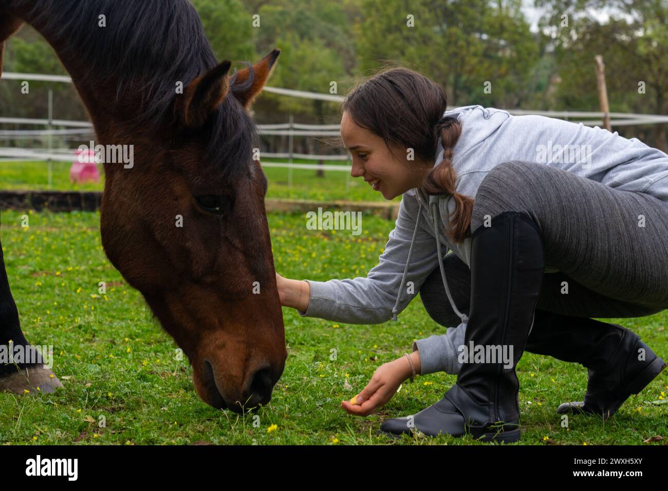 Donna che accarezza e dà da mangiare a un cavallo marrone Foto Stock