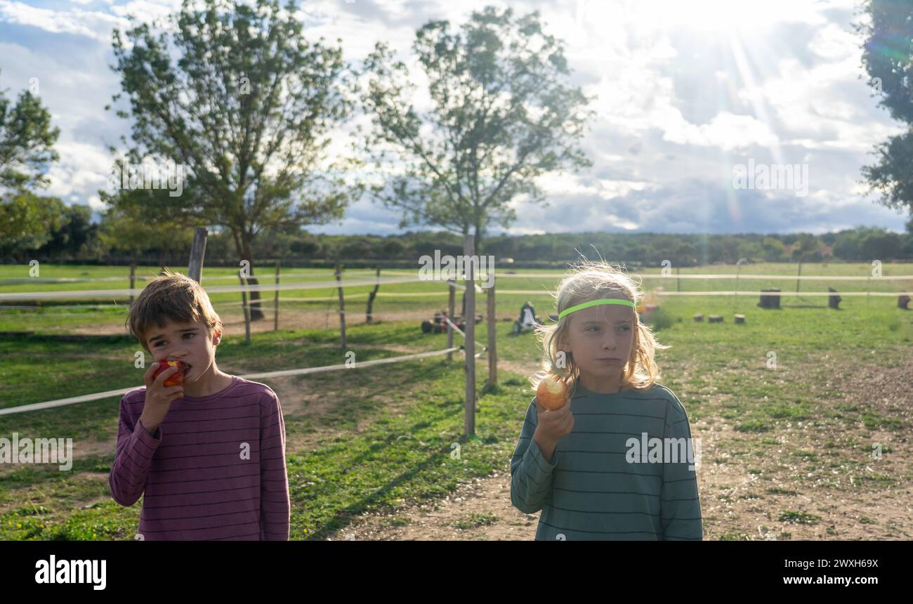 Due bambini mangiano una mela nel campo Foto Stock