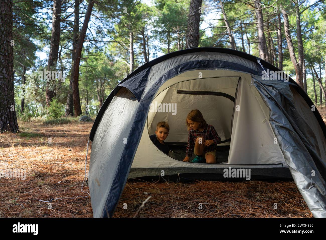 Due bambini dentro una tenda nel bosco Foto Stock