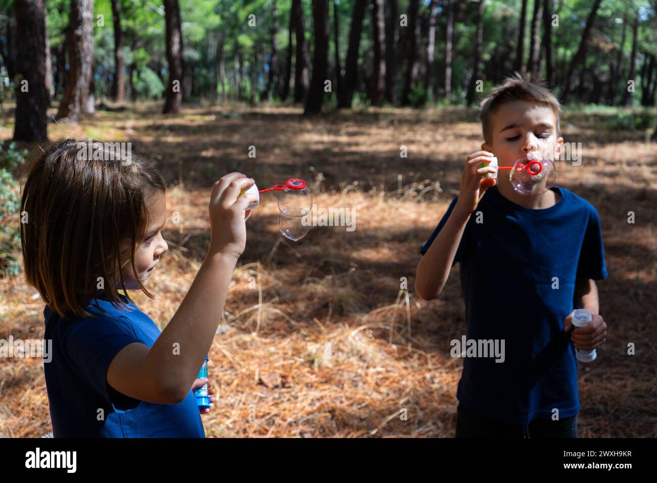 Due bambini che giocano con le bolle di sapone nella foresta Foto Stock