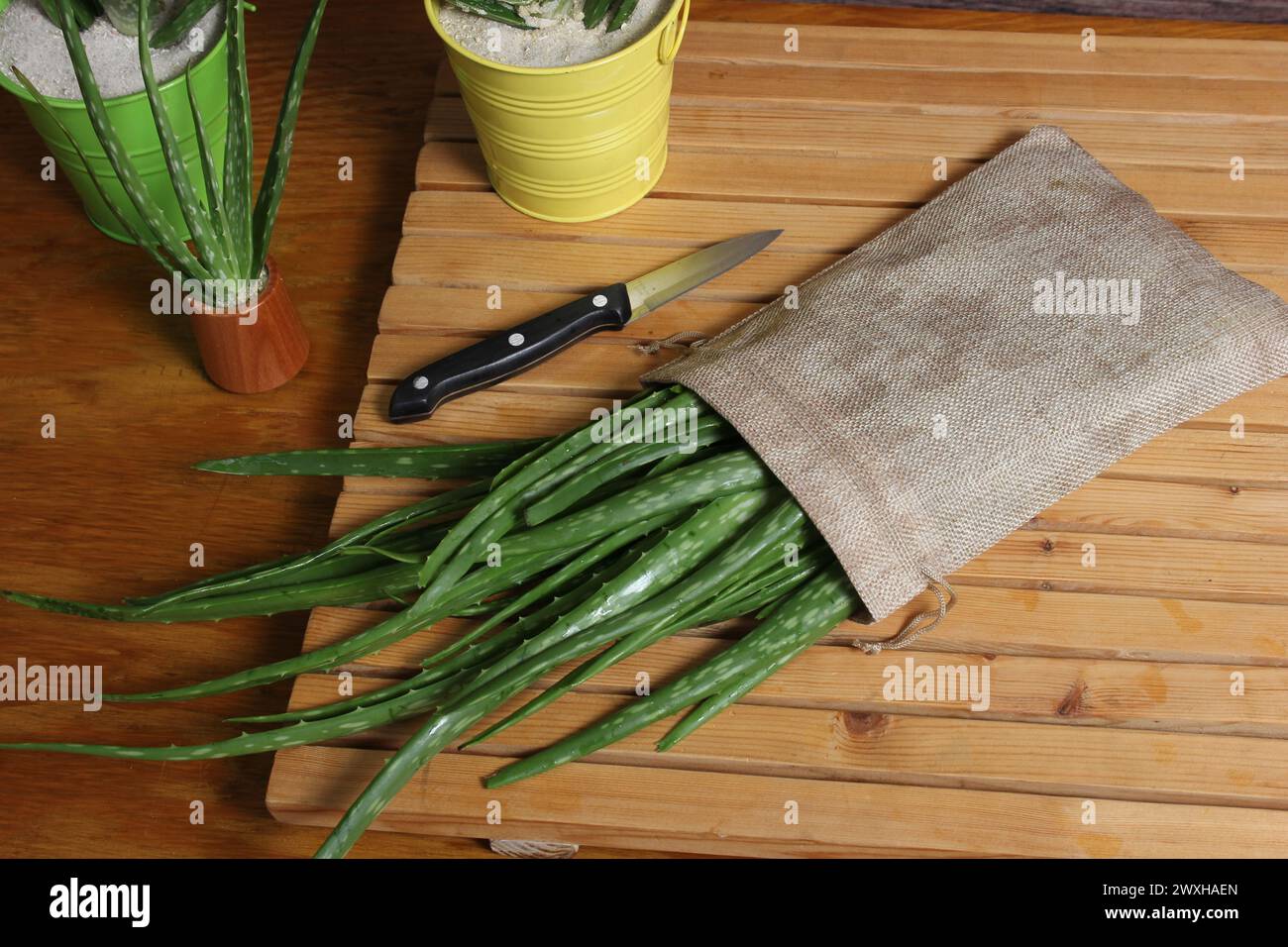 Rappresentazione artistica di una borsa tagliata aperta per rivelarne il contenuto Foto Stock