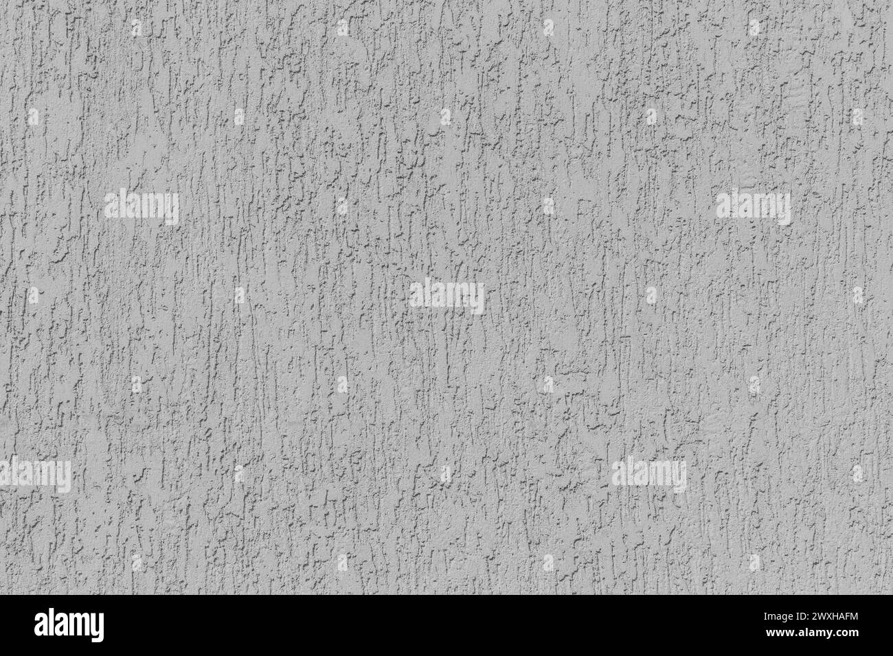 Scarabeo di corteccia grezzo grigio superficie dura struttura in stucco fondo solido. Foto Stock