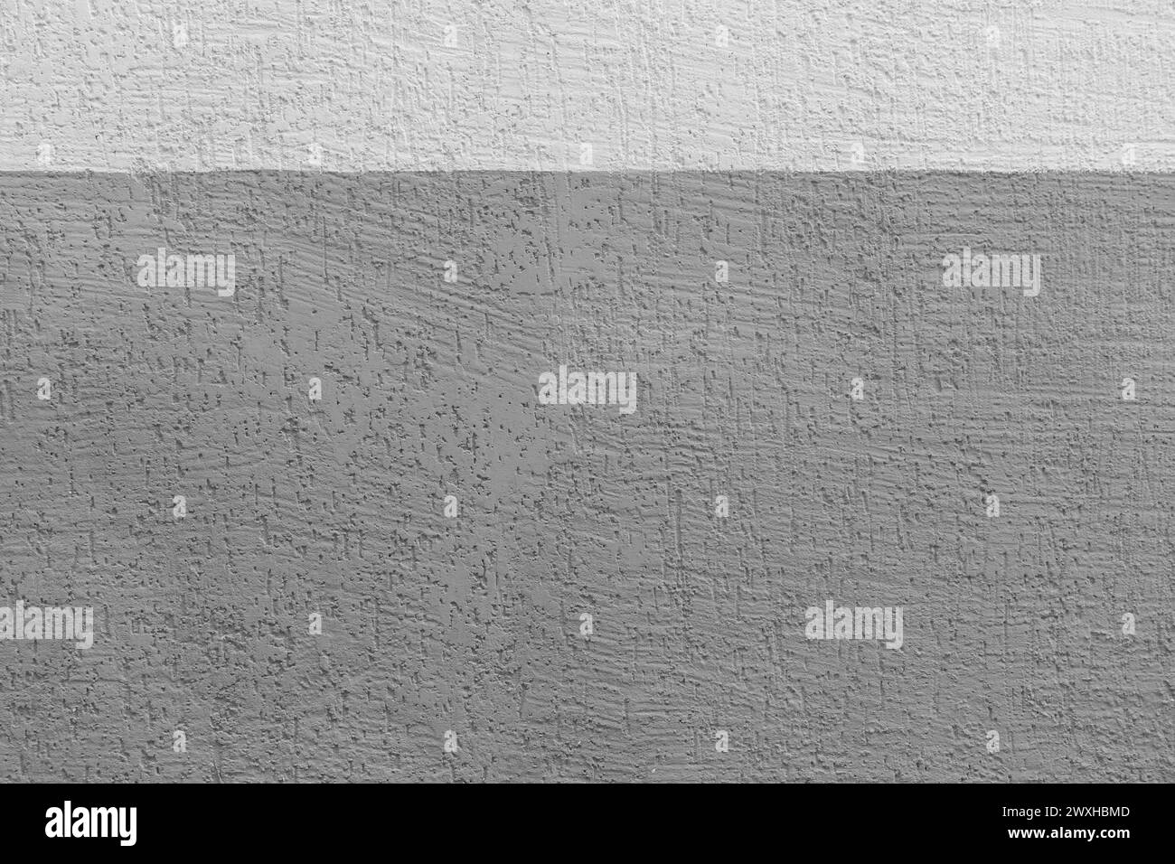 Parete grigia di scarabeo di corteccia in gesso due colori motivo astratto trama di fondo in stucco bianco vuoto. Foto Stock