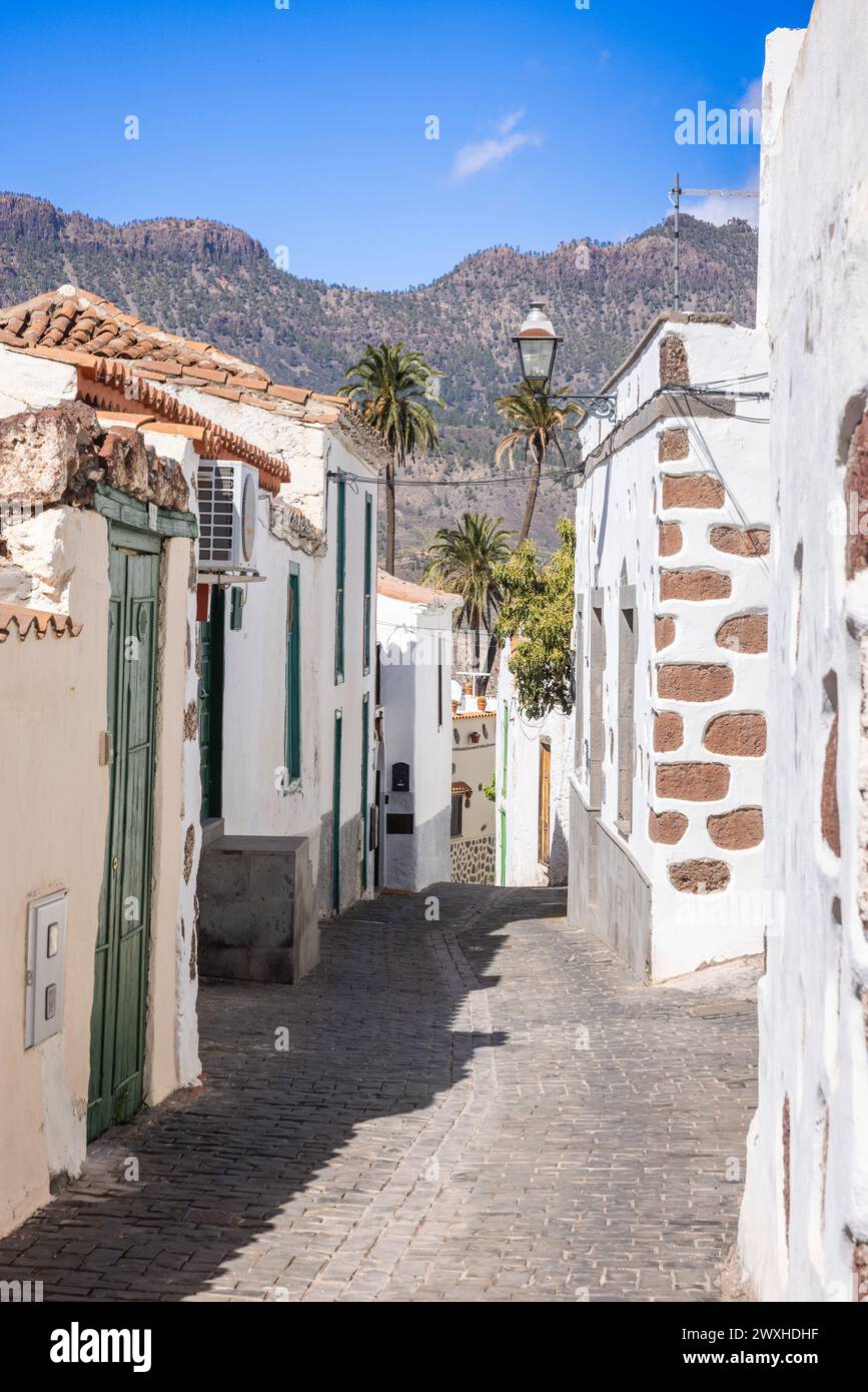Vicolo a Santa Lucia de Tirajana sull'isola di Gran Canaria, Isole Canarie, Spagna. Palme e montagne sullo sfondo. Foto Stock