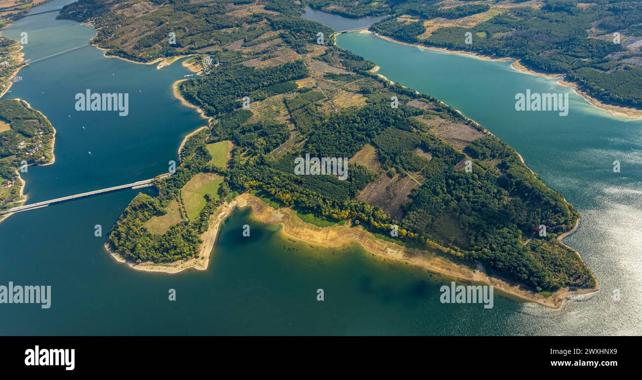 Luftbild Möhnesee Südufer mit Friedwald und Baumschäden, Friedhof, Dürre im Wald, Stausee, Borkenkäferbefall, Baumbestattung, Möhnesee, Nordrhein-Westfalen, Deutschland, ACHTUNGxMINDESTHONORARx60xEURO *** Vista aerea della riva sud Möhnesee con danni alla foresta e agli alberi cimiteriali, cimitero, siccità nella foresta, bacino idrico, infestazione da scarabeo della corteccia, sepoltura di alberi, Möhnesee, Renania settentrionale-Vestfalia, Germania, ATTENTIONxMINDESTHONORARx60xEURO Foto Stock