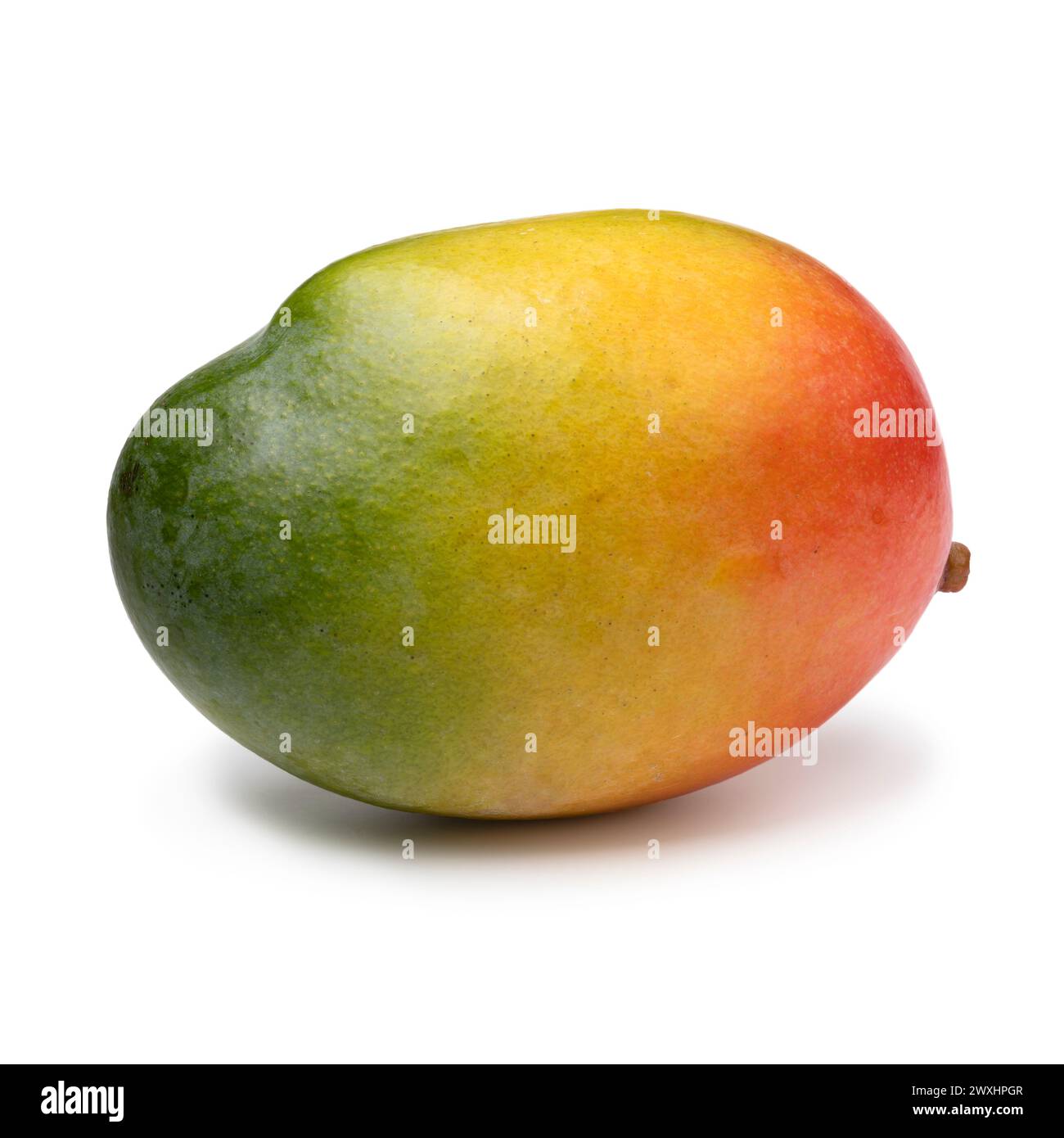 Singolo mango colorato isolato su sfondo bianco da vicino Foto Stock