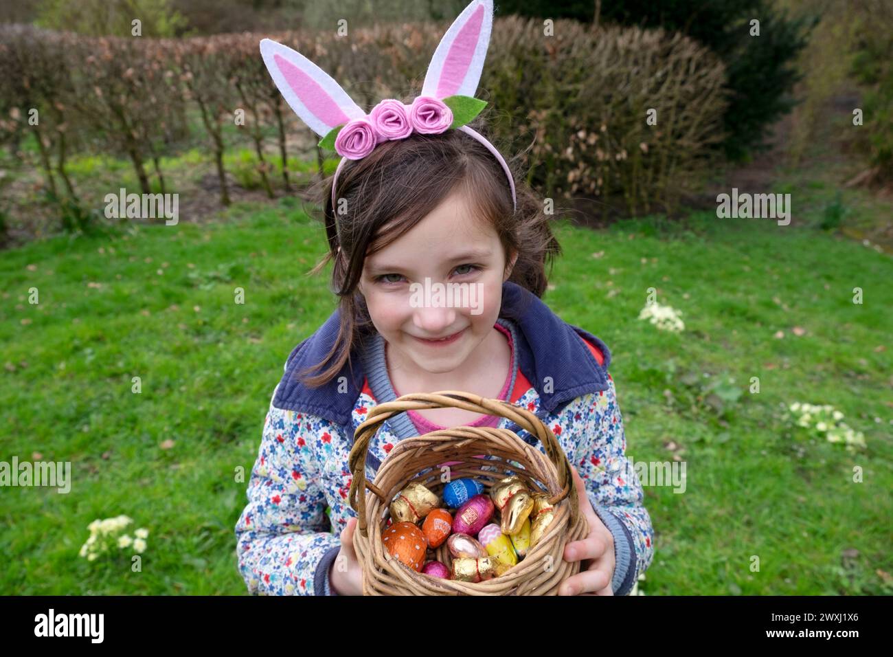 Caccia all'uovo di Pasqua ragazza sorridente bambino 6 7 anni che indossa orecchie di coniglio con cesto di uova di cioccolato nel giardino di marzo del Galles 2024 Regno Unito Gran Bretagna KATHY DEWITT Foto Stock