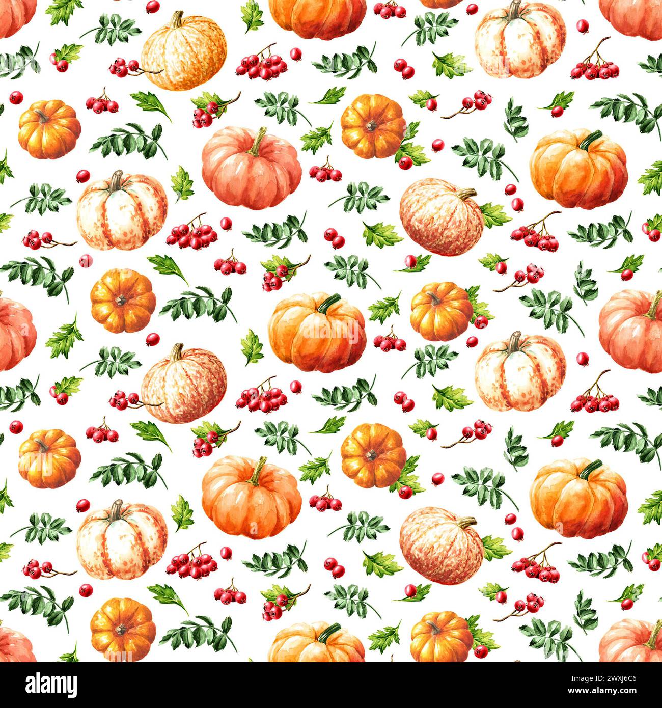 Zucche autunnali, acquerello disegnato a mano motivo senza cuciture isolato su sfondo bianco Foto Stock
