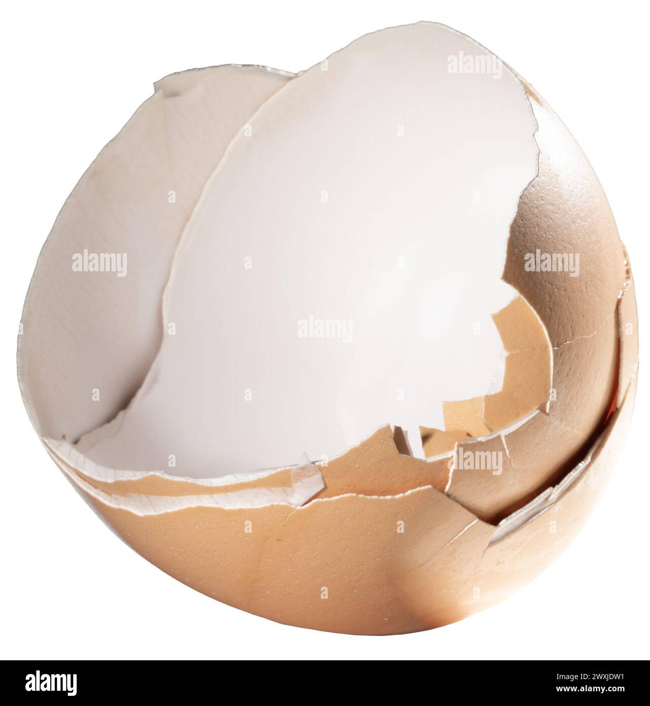 Guscio di uovo di colore beige proveniente da una zona franca e pollo biologico rotto. Foto Stock