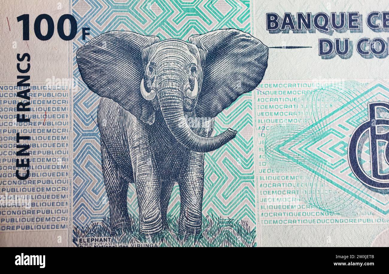 Elefante africano sulla banconota da 100 franchi in valuta del Congo (focalizzazione sul centro) Foto Stock
