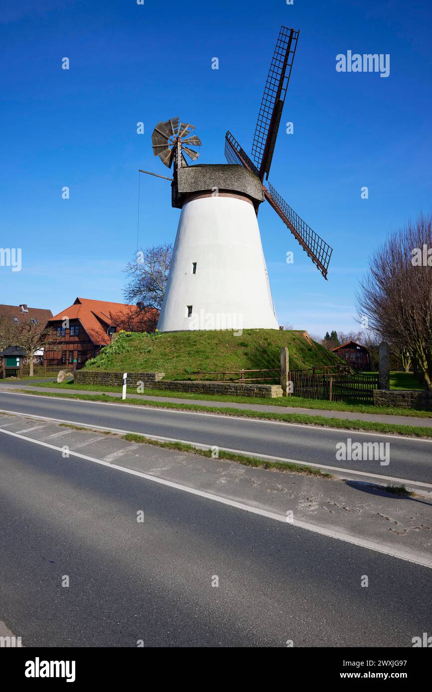 Il mulino a vento Hummelbecker Muehle sotto un cielo azzurro senza nuvole, un Wall-Hollaender, fa parte della Westphalian Mill Road a Duetzen, Minden, Muehlenkreis Foto Stock