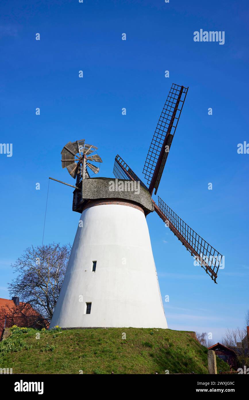 Il mulino a vento Hummelbecker Muehle contro un cielo azzurro senza nuvole, un Wall-Hollaender, fa parte della Westphalian Mill Road a Duetzen, Minden, Muehlenkreis Foto Stock