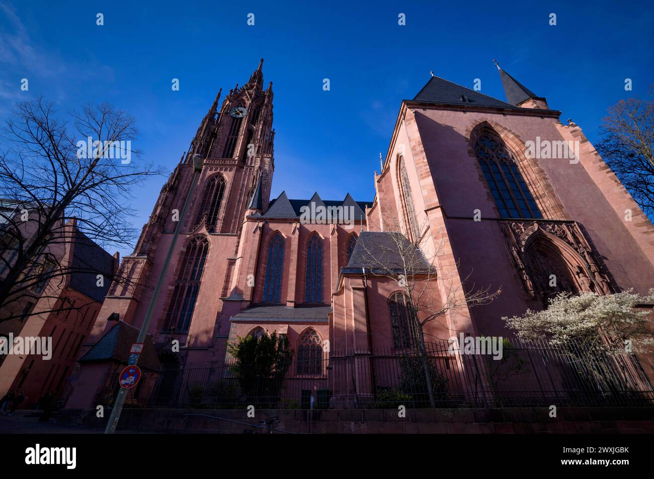 Cattedrale imperiale di San Bartolomeo, Francoforte sul meno, Assia, Germania Foto Stock