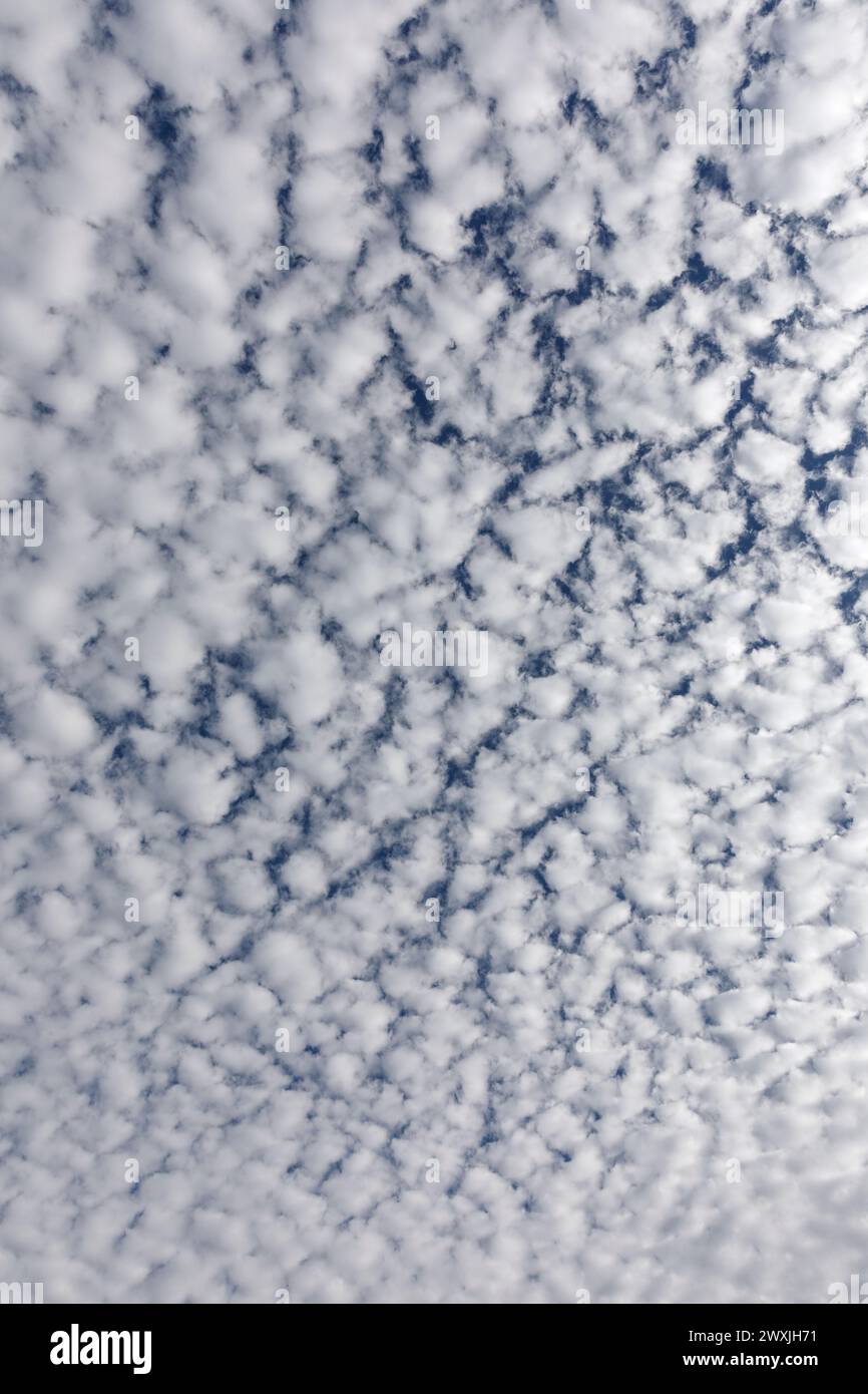 Soffici nuvole bianche e cielo blu. Guardando dritto in alto. Foto Stock