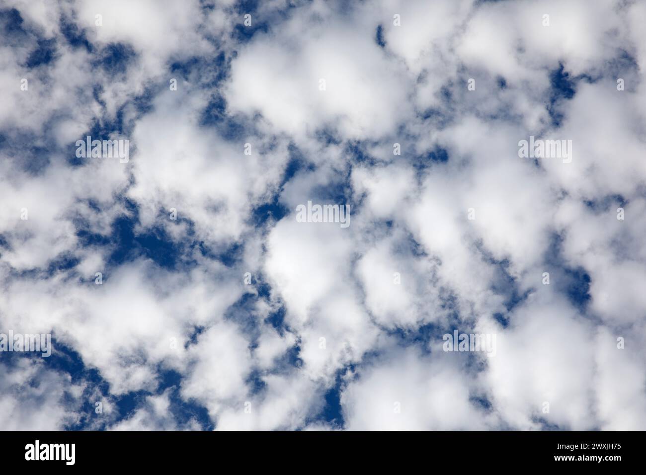 Soffici nuvole bianche e cielo blu. Guardando dritto in alto. Foto Stock