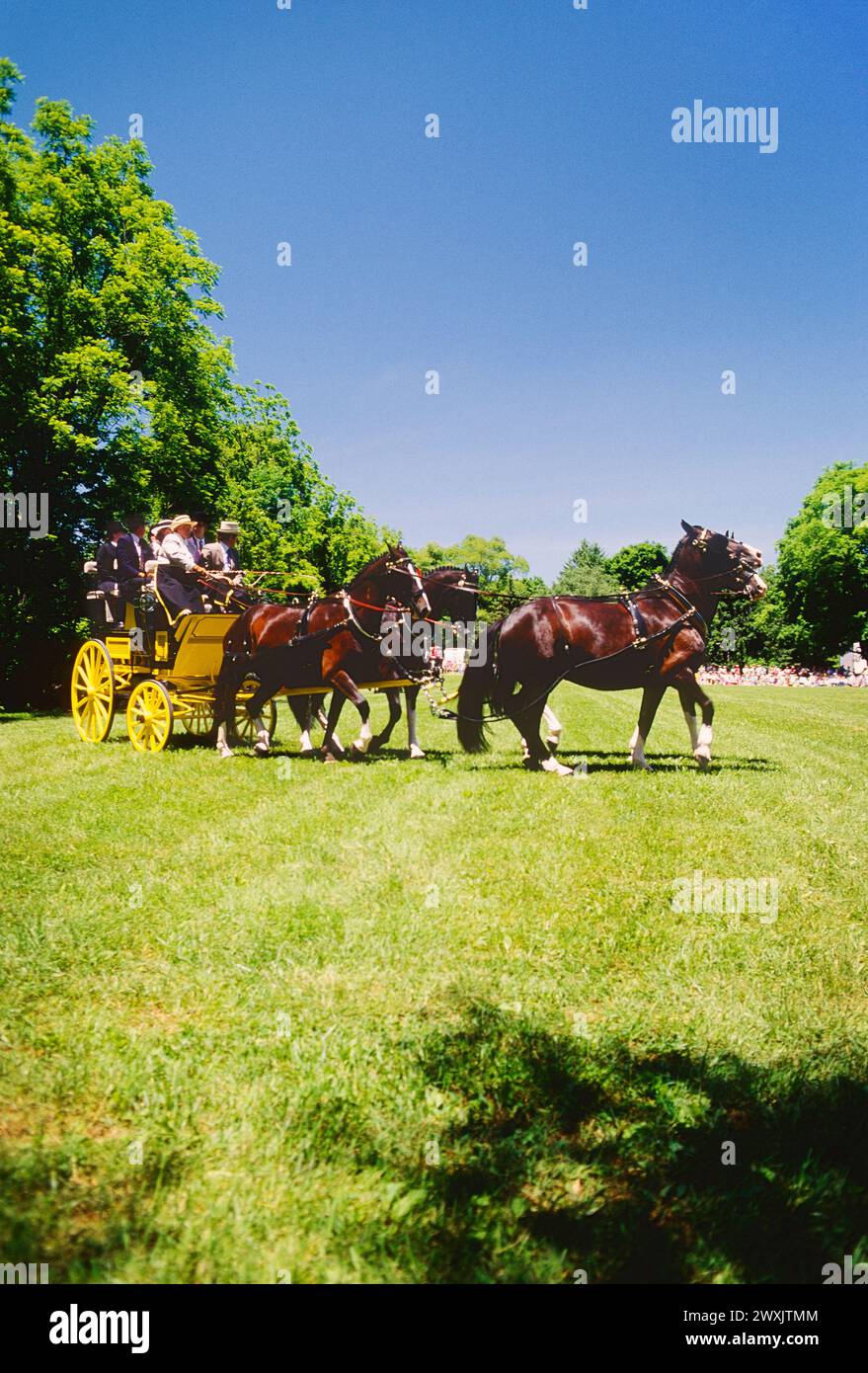 Devon Horse Show & Country Fair; Devon; Pennsylvania; Stati Uniti. Il più antico (1896) spettacolo all'aperto negli Stati Uniti. Foto Stock