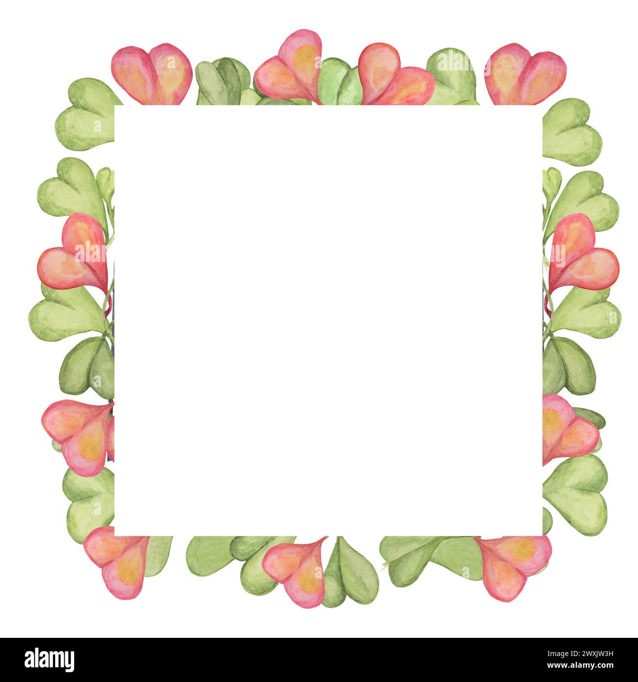 Cornice quadrata con spazio vuoto dolcezza hoya, pianta hoya kerrii in rosa e verde, isolato acquerello disegnato a mano. Clipart per le madri, giorno dei padri d Foto Stock