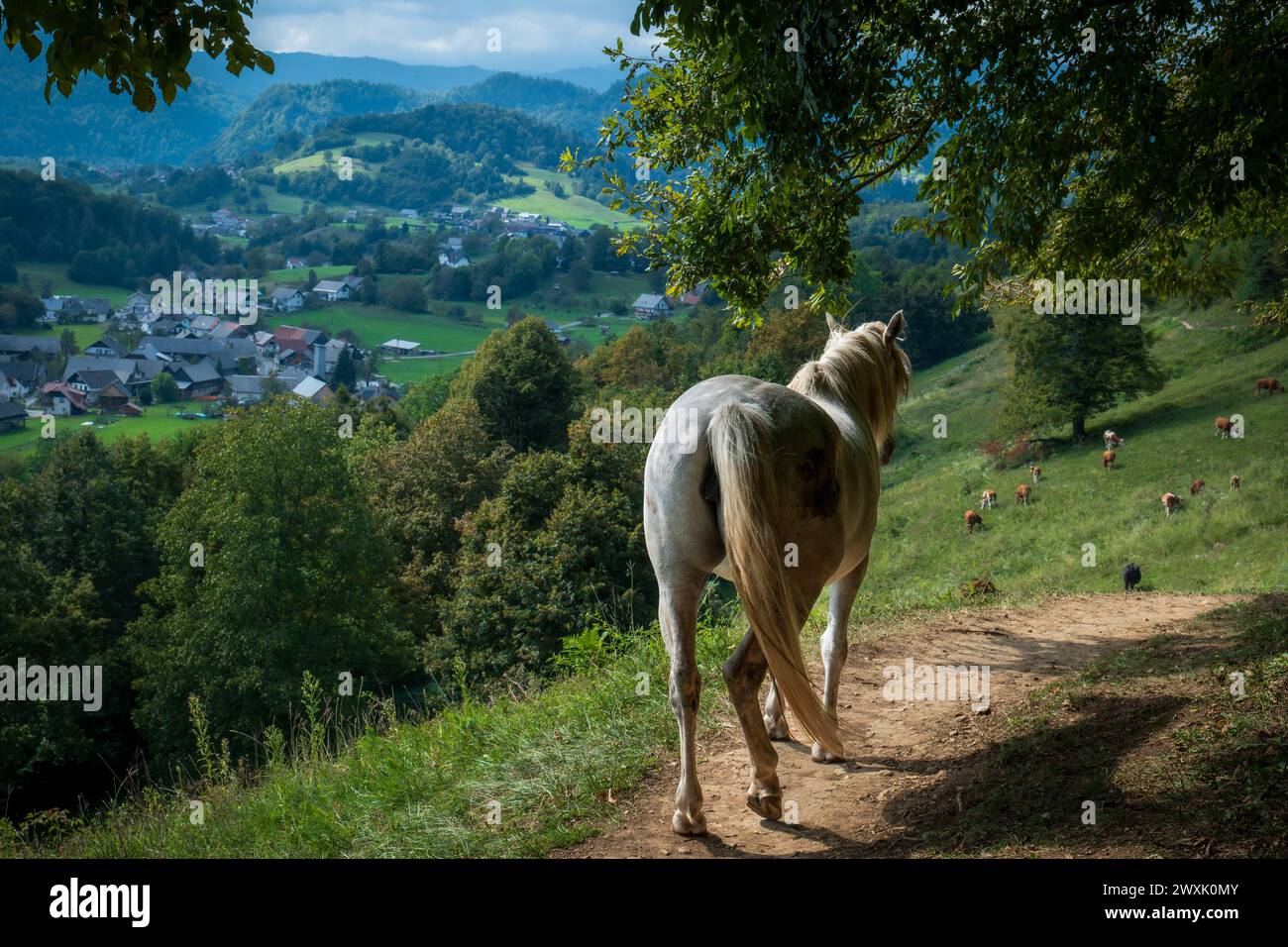 Un cavallo grazioso si prodiga su un pendio montano verdeggiante in Slovenia, con viste mozzafiato in lontananza. Foto Stock