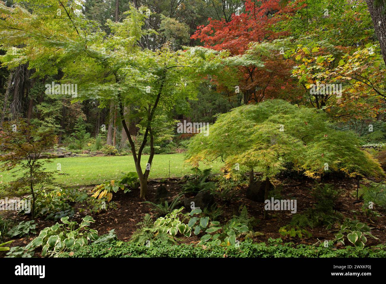 Dunsmuir Botanical Gardens in autunno, con colori autunnali Foto Stock