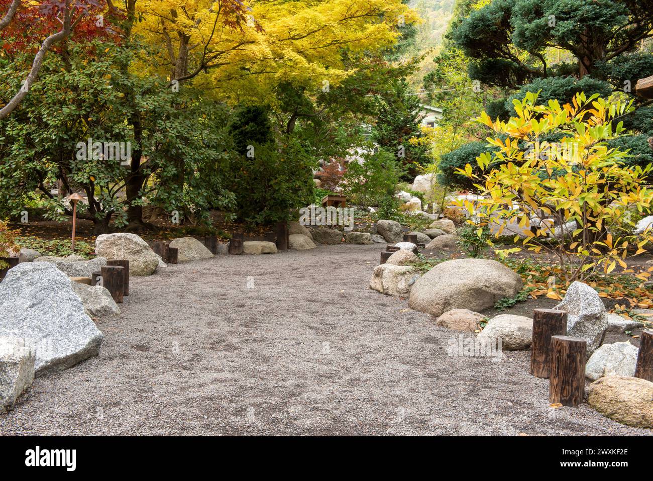 Colori autunnali al Japanese Garden, Lithia Park, Ashland, Oregon, nel 2023 Foto Stock