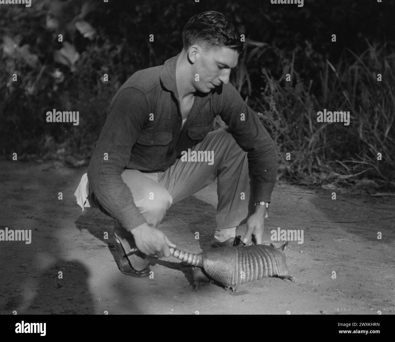 Dipartimento del Canale di Panama. Manovre del reparto. "Tropical Steel Armored Tank". Soldato sul campo con un armadillo, che era l'animale domestico del vestito. (Notare la pelle simile a un'armatura dell'armadillo) ca. 1934 Foto Stock