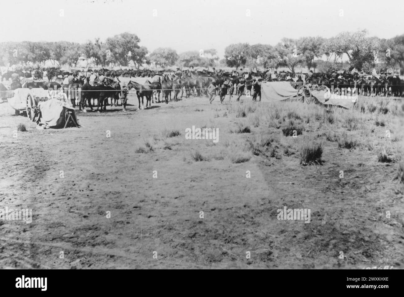 Spedizione punitiva messicana / spedizione Pancho Villa. 6th Field Artillery presso il quartier generale vicino a Dublan CA. 1916 Foto Stock