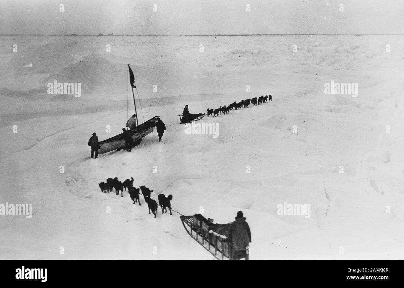 Didascalia originale: Point Barrow, Alaska. Corsa molla sopra il ghiaccio. Quando si incontra l'acqua, cani e slitte vengono caricati nelle barche della pelle. ca. anni '1930 Foto Stock