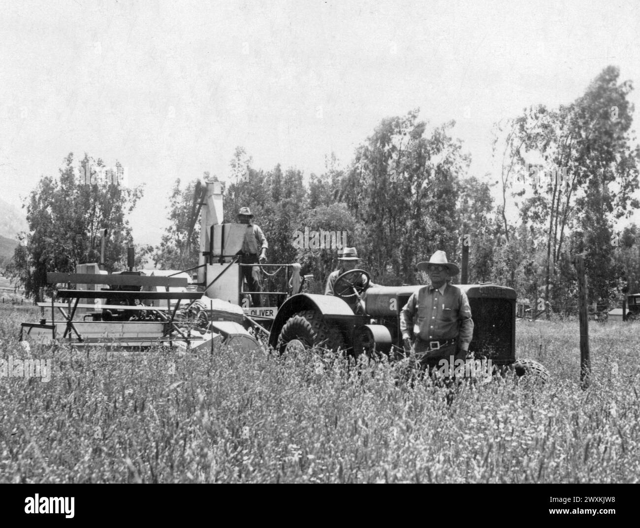 Didascalia originale: "Mietitrice e trattore appartenente al Barona Group of Indians, Lakeside, California. Il grano in primo piano è per lo più avena, con un po' di frumento sparso. Giugno 1937." Foto Stock