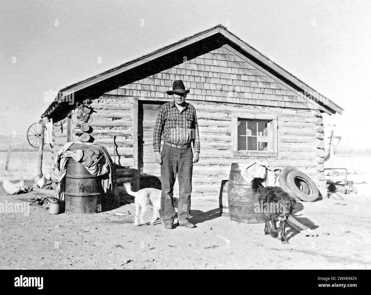 Uomo con due cani di fronte alla cabina nel Wyoming CA. anni '1930 Foto Stock