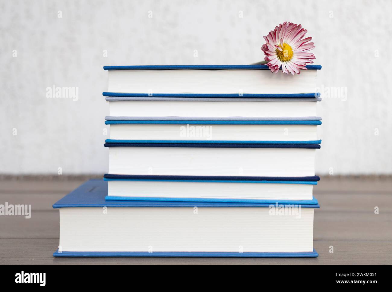 sul tavolo c'è una pila di libri con copertine blu e un fiore a margherita su di essi su uno sfondo chiaro. Lettura, istruzione, saggezza Foto Stock