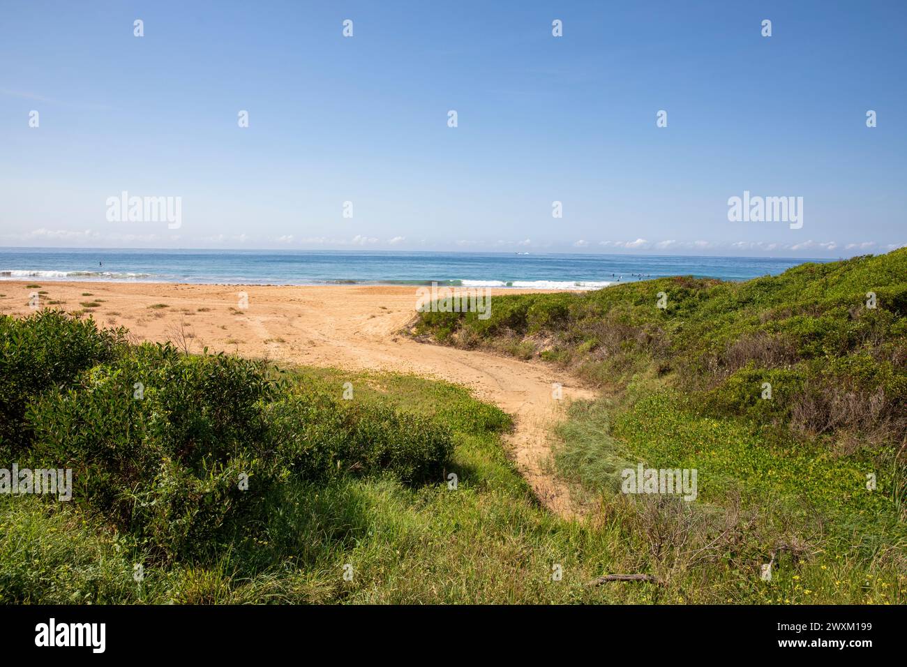 Newport Beach sulle spiagge settentrionali di Sydney, New South Wales, Australia Foto Stock