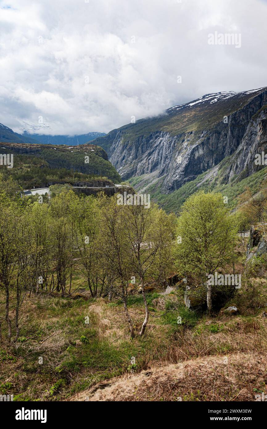 Sur les plateaus en Norvège Foto Stock