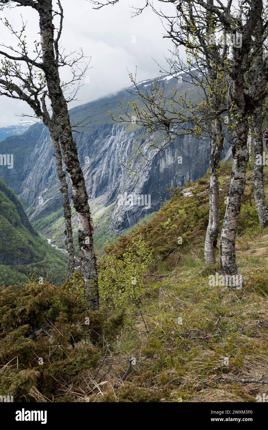 Sur les plateaus en Norvège Foto Stock