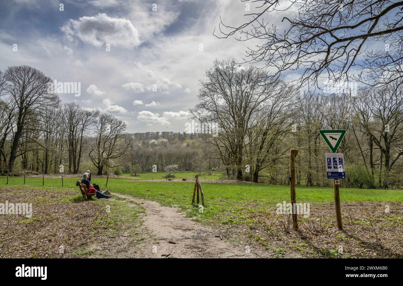 Rabengrund, Wiesen, Wald, Wiesbaden, Assia, Germania Foto Stock