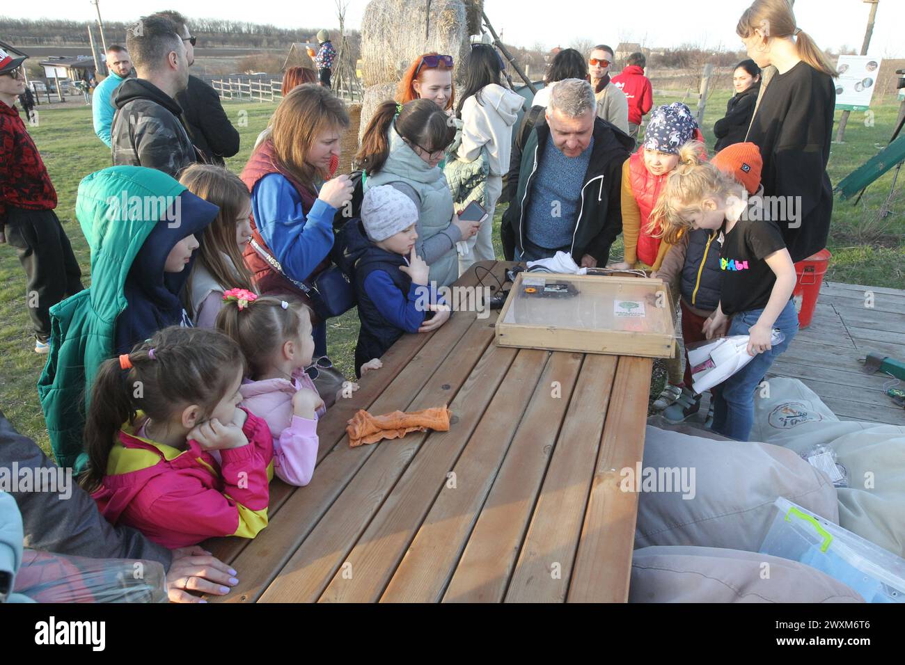REGIONE DI DNIPROPETROVSK, UCRAINA - 30 MARZO 2024 - i pipistrelli del Libro Rosso salvati durante l'inverno a Dnipro e la regione sono stati rilasciati nel loro habitat naturale a Zelenyi hai, il Centro ucraino di riabilitazione dei pipipistrelli ha mantenuto questa tradizione per 12 anni di seguito, regione di Dnipropetrovsk, Ucraina orientale. Foto Stock