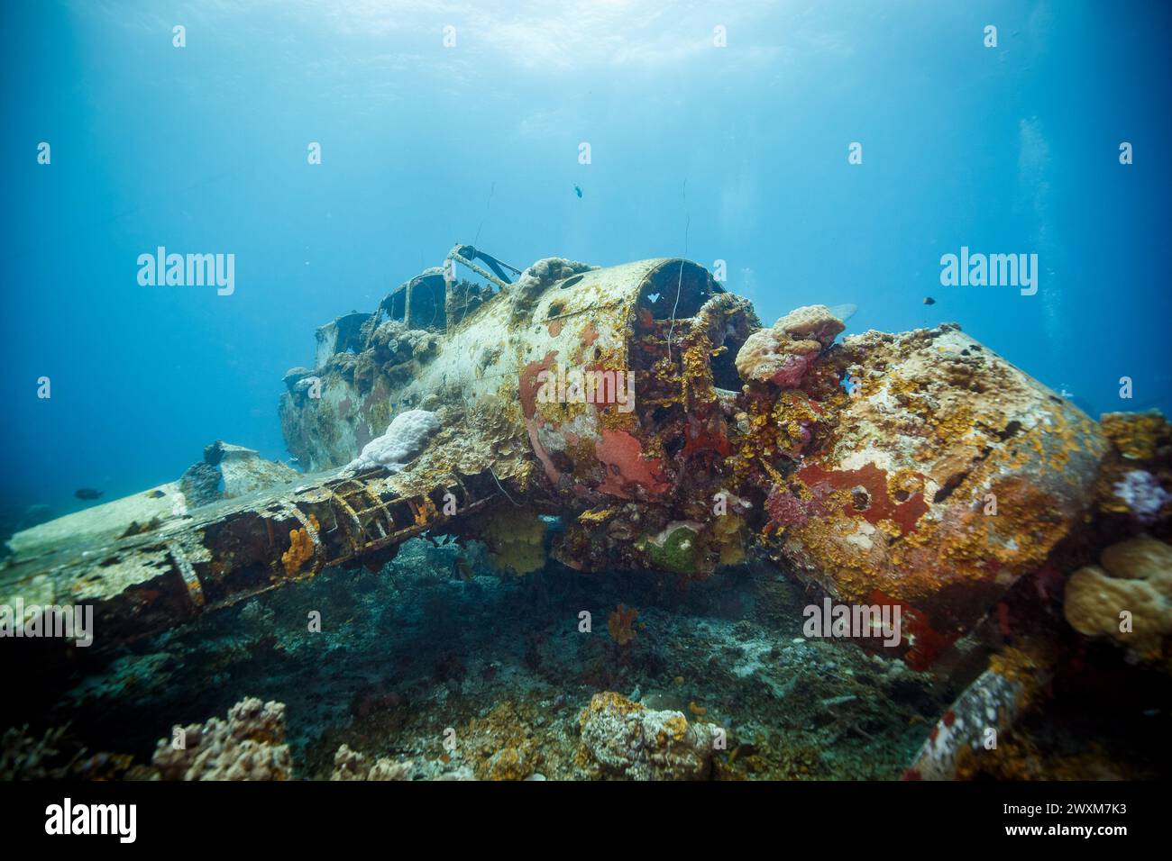 Un aereo affondato che poggia sul fondo dell'oceano Foto Stock