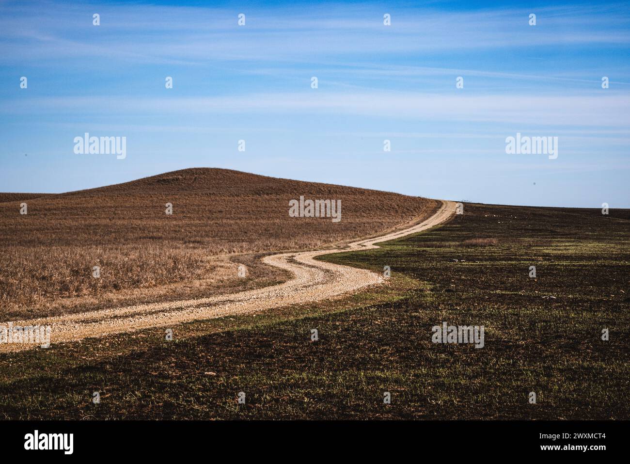 Una strada di ghiaia si snoda lungo le Flint Hills, Kansas Foto Stock