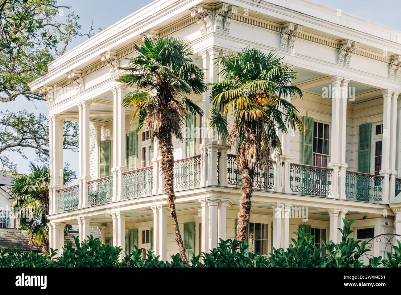 Facciata dell'edificio del Garden District con palme, New Orleans Foto Stock