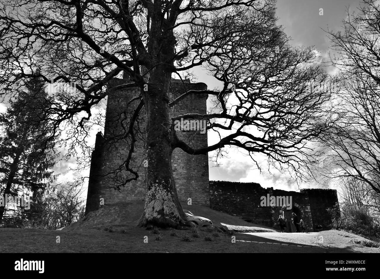 Castello Campbell a Dollar Foto Stock