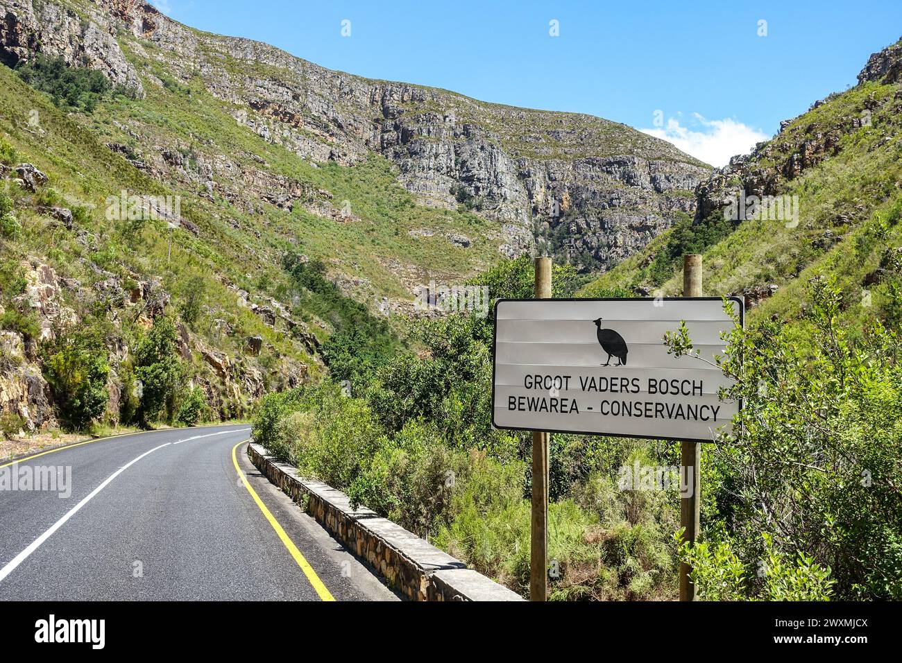 Viaggio panoramico lungo Tradouw Pass, Sud Africa, attraverso un lussureggiante paesaggio montuoso con un cartello che indica il Groot Vaders Bosch Bewarea - Conservancy Foto Stock