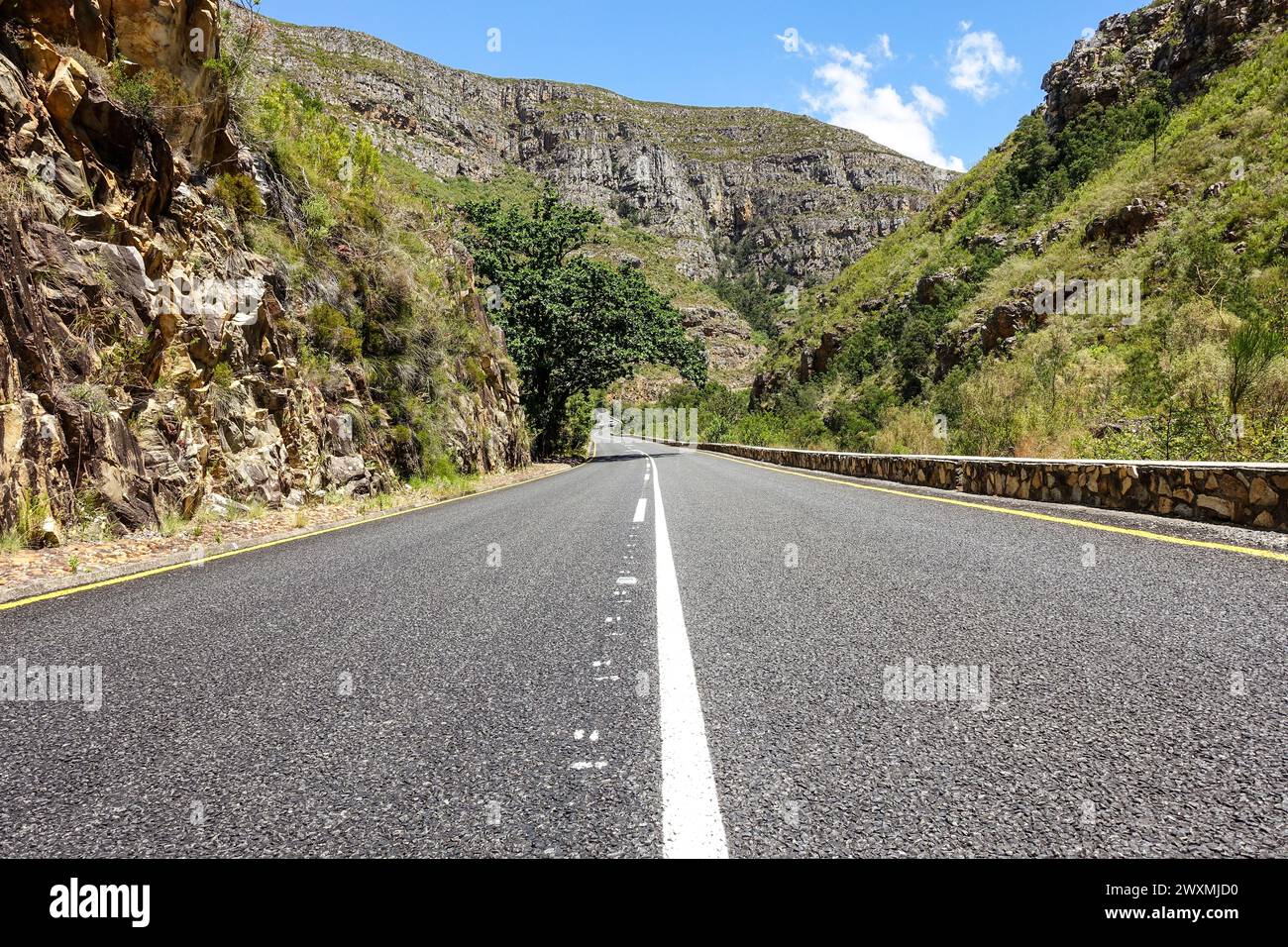 Tradouw Pass (percorso giardino, Sud Africa) strada panoramica di montagna circondata da lussureggiante vegetazione verde e scogliere rocciose sotto un cielo blu brillante Foto Stock