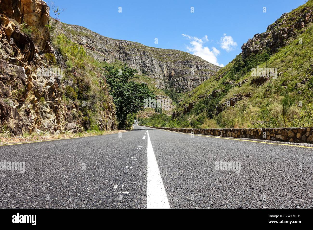 Tradouw Pass (percorso giardino, Sud Africa) strada panoramica di montagna circondata da lussureggiante vegetazione verde e scogliere rocciose sotto un cielo blu brillante Foto Stock