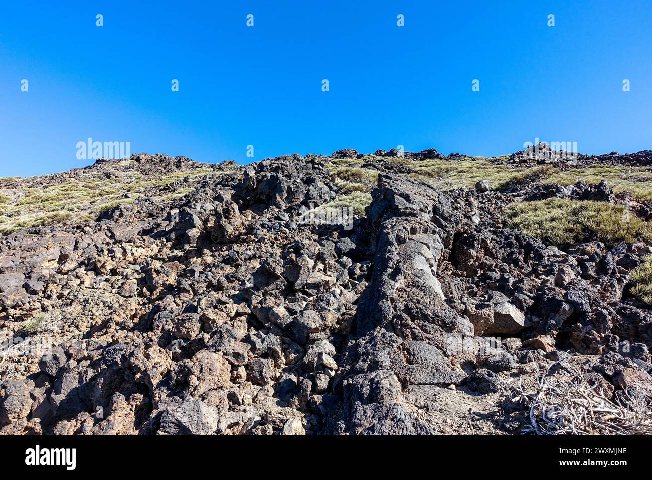 Il terreno roccioso vulcanico ha conquistato Tenerife con lava indurita e vegetazione sparsa sotto un cielo azzurro limpido in un ambiente secco e montuoso Foto Stock